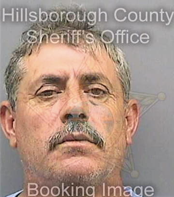 Castilloperez Alfredo - Hillsborough County, FL 