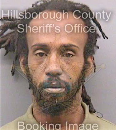 Dennis Ryan - Hillsborough County, FL 