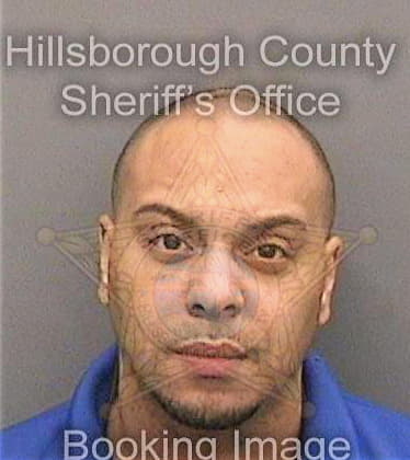 Lizardo Johnathan - Hillsborough County, FL 