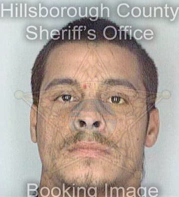 Matos Joe - Hillsborough County, FL 