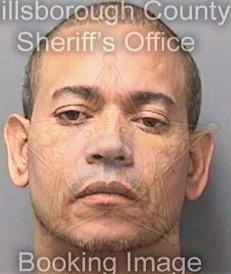 Martinez Nelson - Hillsborough County, FL 