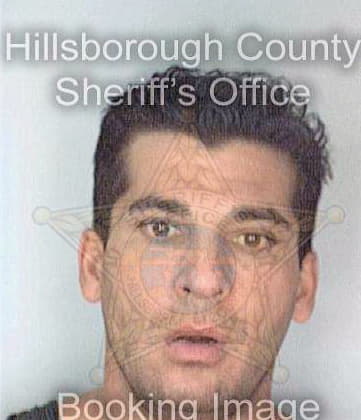 Samiz Sizar - Hillsborough County, FL 