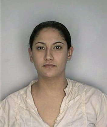 Ramirez Marielena - Hillsborough County, FL 