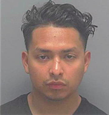 Gomez-Domingo Osman - Lee County, FL 