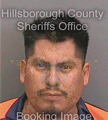 Cardenasrodriguez Bonifacio - Hillsborough County, FL 