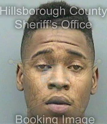 Lee Damascus - Hillsborough County, FL 