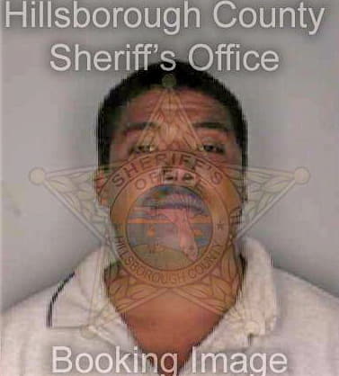 Trejoortiz David - Hillsborough County, FL 