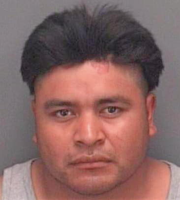 Baxcajay Moises - Pinellas County, FL 