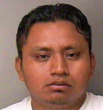 Felipe Nelson - Polk County, FL 