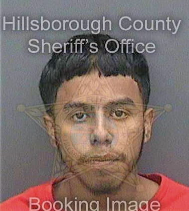 Leon Albert - Hillsborough County, FL 