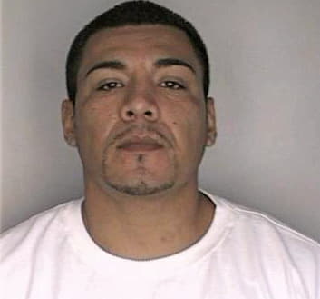 Alvarez Christopher - Hillsborough County, FL 