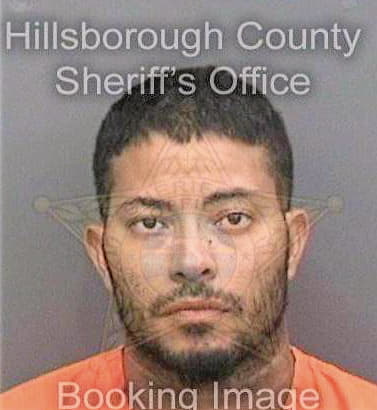 Colon Felix - Hillsborough County, FL 