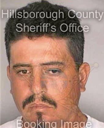 Garcia Octavio - Hillsborough County, FL 