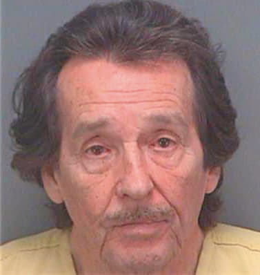Biron William - Pinellas County, FL 