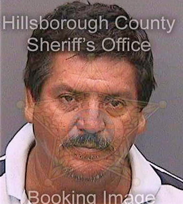 Espinozajimenez Alberto - Hillsborough County, FL 
