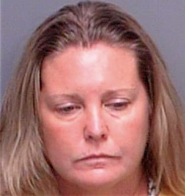 Ford Denise - Pinellas County, FL 