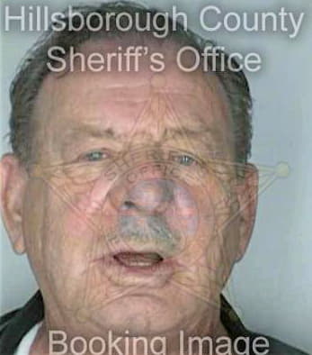 Molnar Geroge - Hillsborough County, FL 
