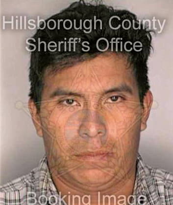 Lopez Silvino - Hillsborough County, FL 