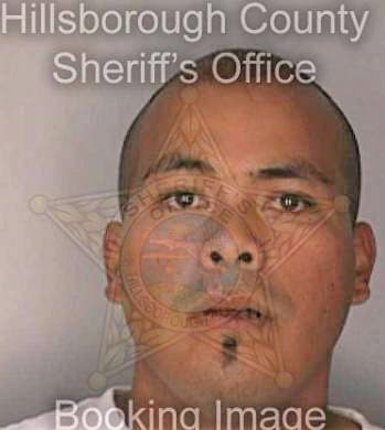 Pena Alejandro - Hillsborough County, FL 