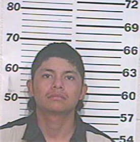 Hernandez Mario - Hidalgo County, TX 
