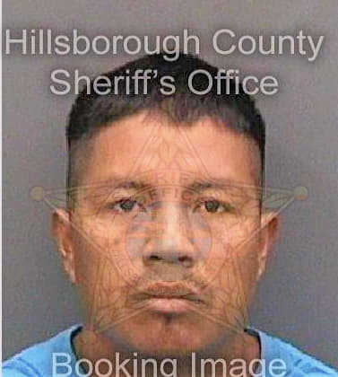 Mejiabartolon Rodrigo - Hillsborough County, FL 