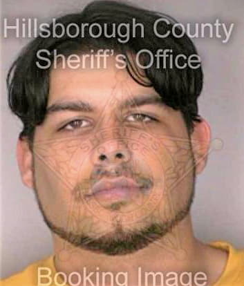 Linares Travis - Hillsborough County, FL 