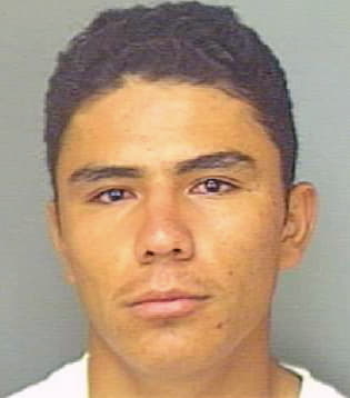 Arana Ignacio - Polk County, FL 