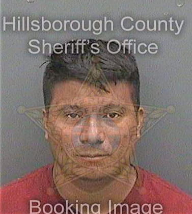Alvaradoperez Jose - Hillsborough County, FL 