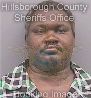 Lee Louis - Hillsborough County, FL 