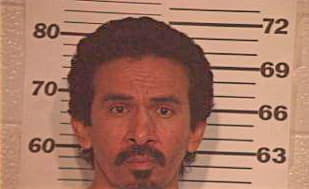 Mendez Raul - Hidalgo County, TX 