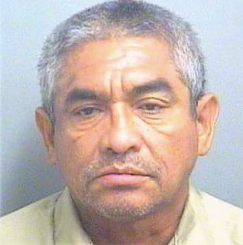 Mendoza Carlos - PalmBeach County, FL 
