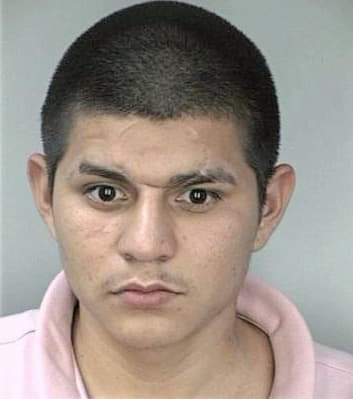 Garcia Francisco - Hillsborough County, FL 