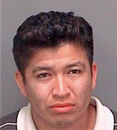 Pena Jose - Pinellas County, FL 