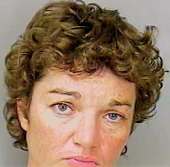 Johnson Lori - Polk County, FL 