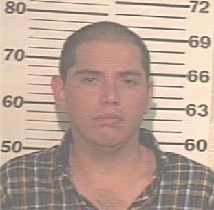Hernandez Manuel - Hidalgo County, TX 