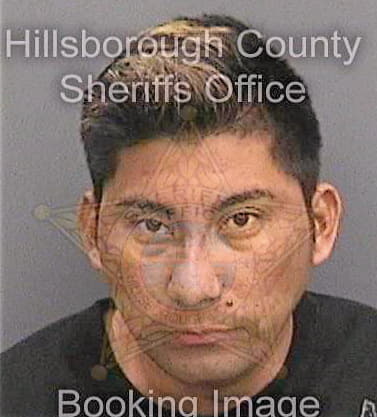 Ramirezcortes Rafael - Hillsborough County, FL 
