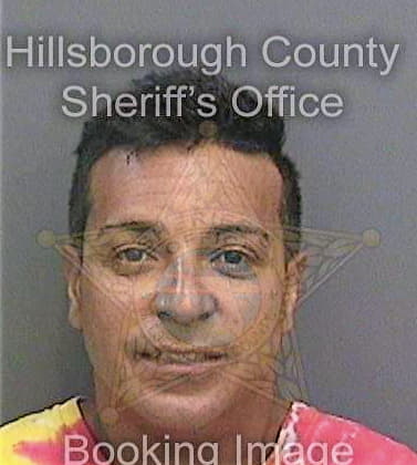 Valentinsolares Wilson - Hillsborough County, FL 