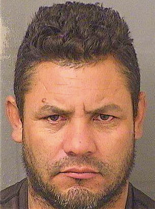 Diaz Wilmar - PalmBeach County, FL 