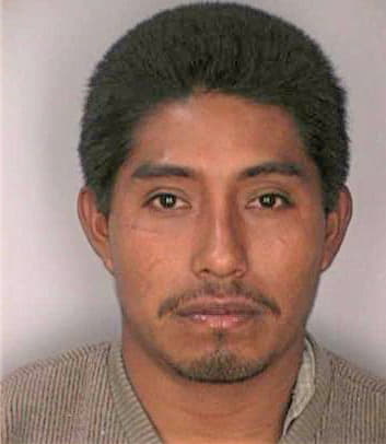 Octavochontal Carlos - Hillsborough County, FL 