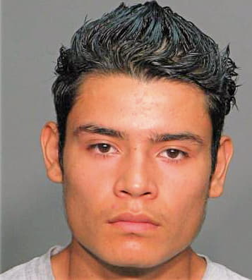 Marmolejo Luis - Wake County, NC 