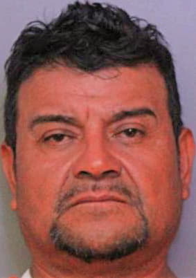 Hernandez-Gonzalez Victorio - Polk County, FL 