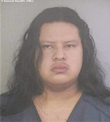 Micco Jerry - Broward County, FL 