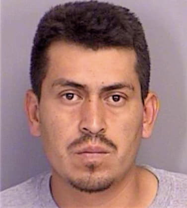 Beltran-Hernandez Jose - Brazos County, TX 