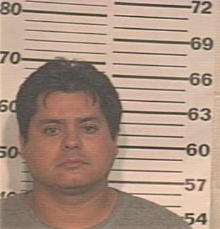 Gonzalez Fernando - Hidalgo County, TX 