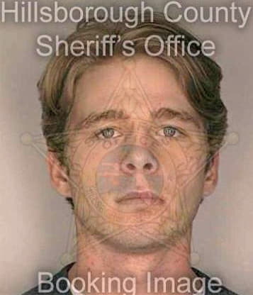 Lewis Micah - Hillsborough County, FL 