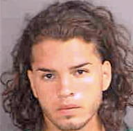 Martinez Carlos - Collier County, FL 