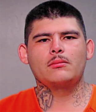 Hernandez Gonzalo - Hidalgo County, TX 