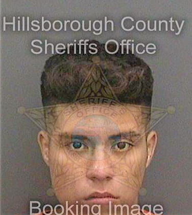 Benitez Heriberto - Hillsborough County, FL 