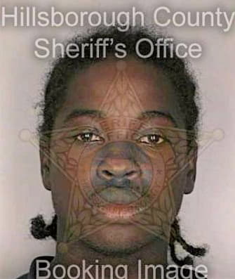 Adkins Michele - Hillsborough County, FL 