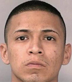 Trujillo Richard - Hillsborough County, FL 